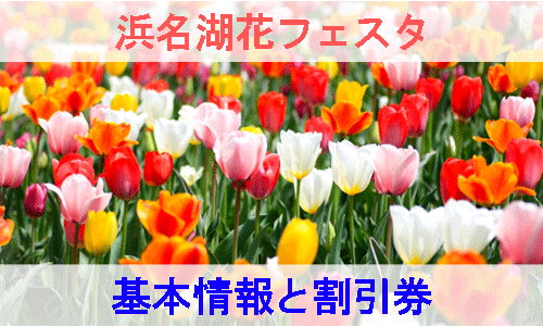 浜名湖花フェスタの基本情報と割引券を紹介するイメージ画像