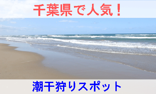 千葉県で人気のおすすめ潮干狩りスポットを紹介する画像