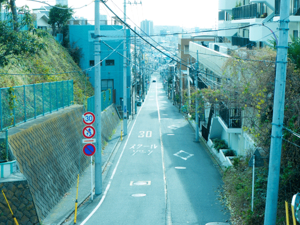 道の写真