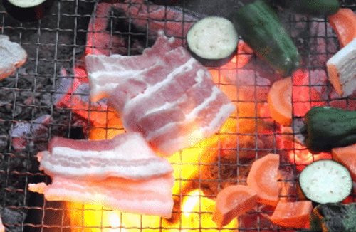網の上でお肉と野菜がおいしそうに焼かれているバーベキューの画像